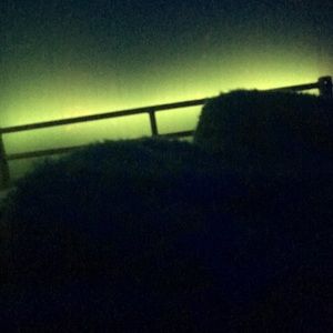 Meet your Posher, Trinity